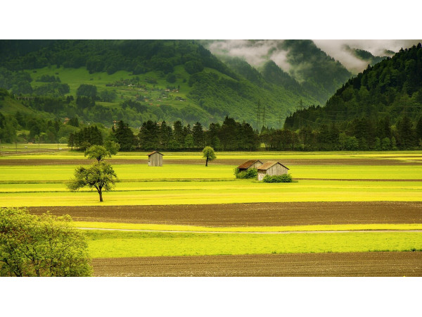 Швейцарский луг Швейцарский луг